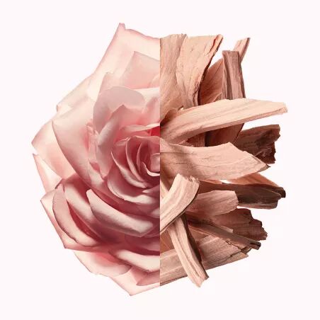 Women's Perfume Givenchy IRRESISTIBLE NUDE VELVET EDP 80 ml