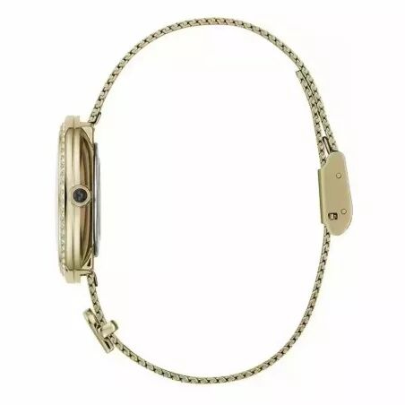 Reloj Mujer Furla WW00022001L2 (Ø 32 mm)