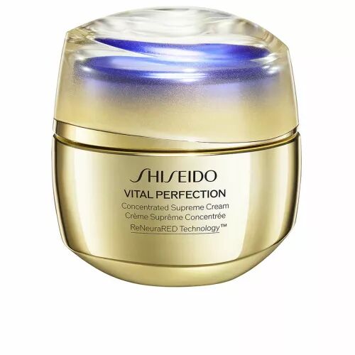 Gesichtsconcealer Shiseido Vital Perfection 50 ml
