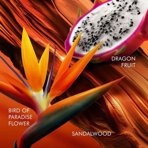 Damenparfüm Escada BALI PARADISE 100 ml