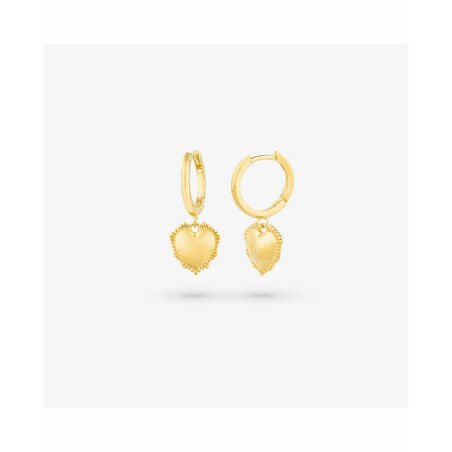 Boucles d´oreilles Femme Radiant RY000056 Acier inoxydable 2,5 cm