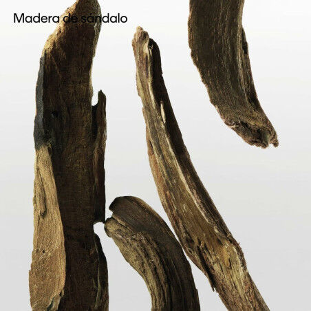 Unisex-Parfüm Calvin Klein CK 200 ml