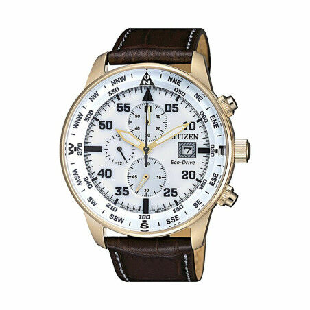 Reloj Hombre Citizen CA0693-12A (Ø 44 mm)