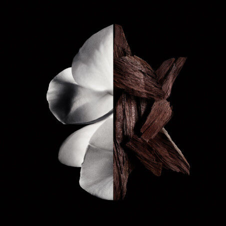 Perfume Mujer Givenchy Gentleman Boisée 200 ml