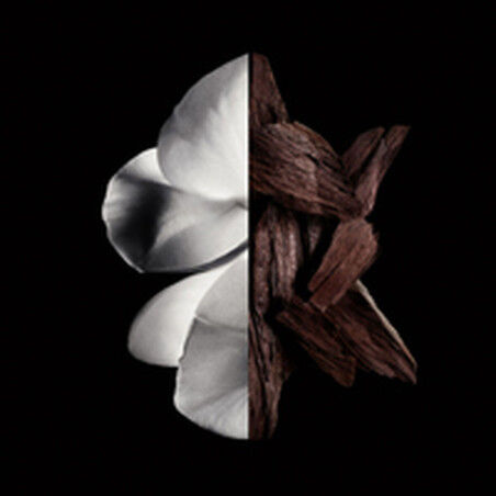 Perfume Mujer Givenchy Gentleman Boisée 200 ml