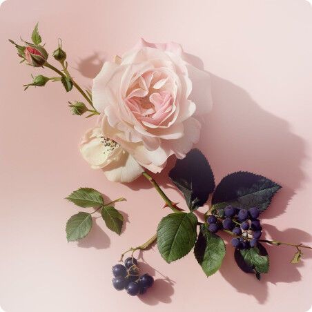 Damesparfum Elie Saab 57962