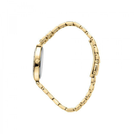 Ladies' Watch Trussardi R2453145503 (Ø 34 mm)