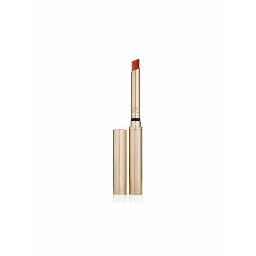 Pintalabios Estee Lauder PURE COLOR Nº 106-Mistress 7 g