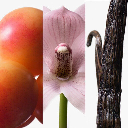 Damenparfüm Calvin Klein Euphoria 100 ml