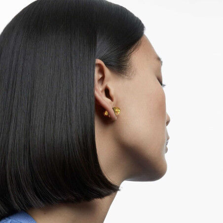Boucles d´oreilles Femme Swarovski 5613552 2,5 cm 1 Unité