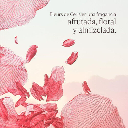 Women's Perfume L'Occitane En Provence FLEURS DE CERISIER EDT 50 ml