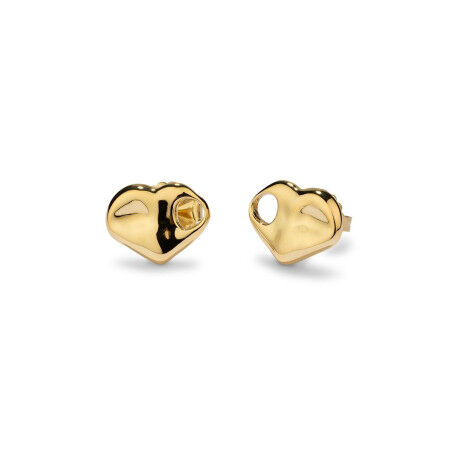 Boucles d´oreilles Femme Radiant RY000443 Doré