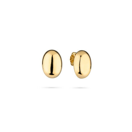Damenohrringe Radiant RY000418 Gold