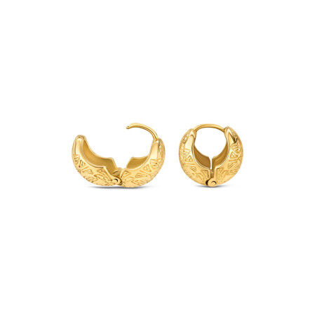 Ladies' Earrings One Jewels OJTE02G Golden