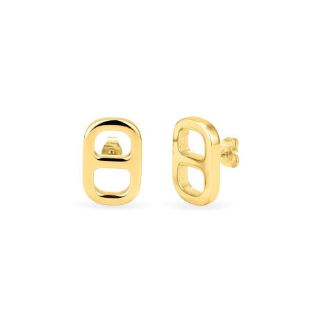 Ladies' Earrings Radiant RY000375 Golden