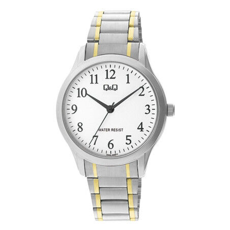 Orologio Uomo Q&Q C02A-005PY
