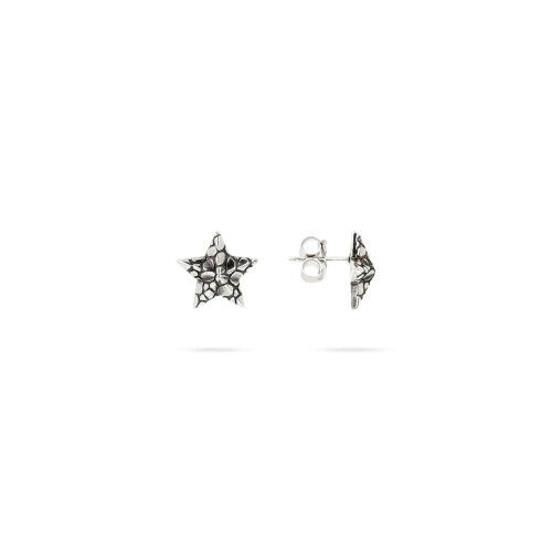 Oorbellen Dames Albert M. WSOX00510.S Zilverkleurig