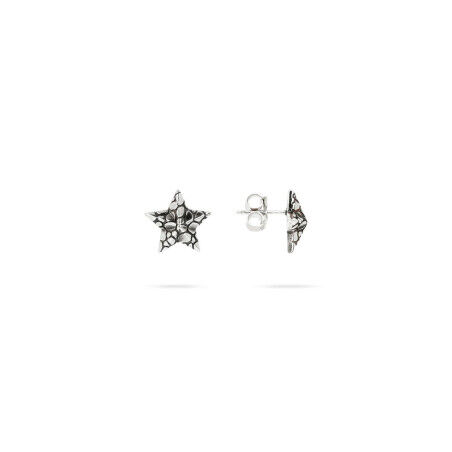 Boucles d´oreilles Femme Albert M. WSOX00510.S Argenté