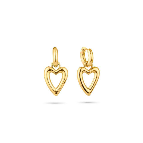 Boucles d´oreilles Femme Radiant RY000329 Doré