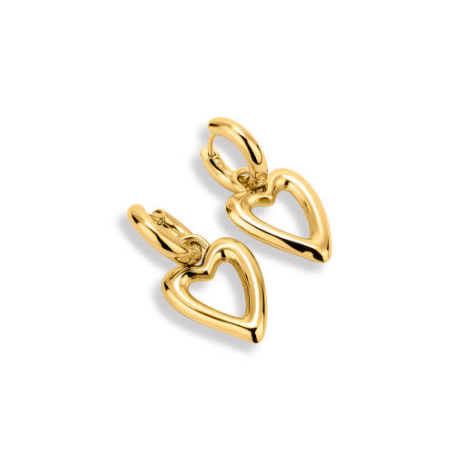 Boucles d´oreilles Femme Radiant RY000329 Doré