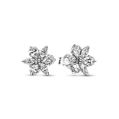 Oorbellen Dames Pandora 292633C01