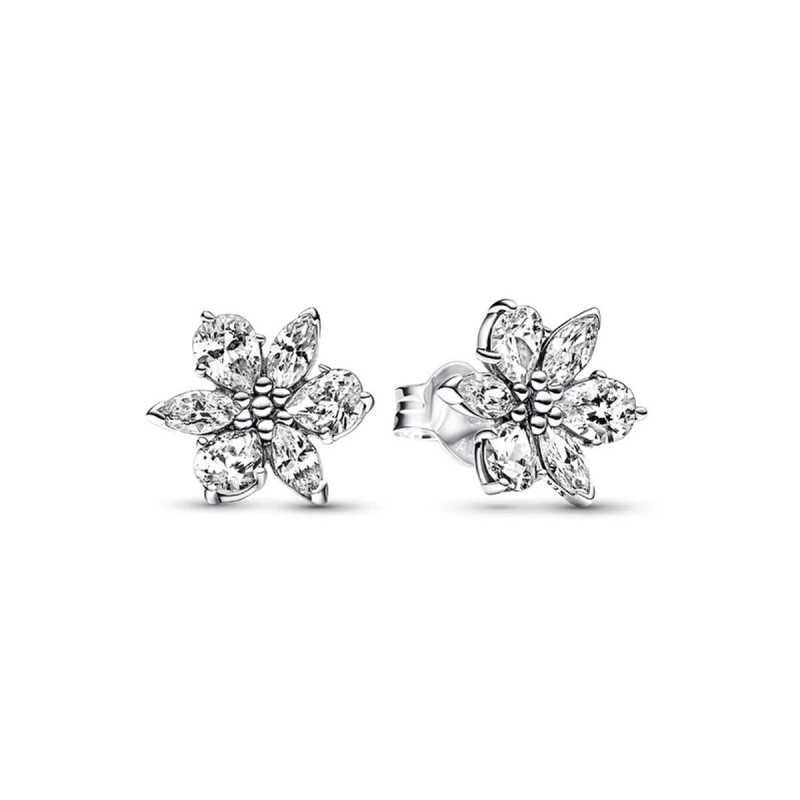 Oorbellen Dames Pandora 292633C01