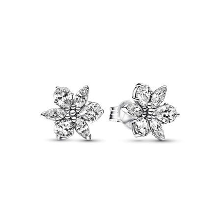 Oorbellen Dames Pandora 292633C01