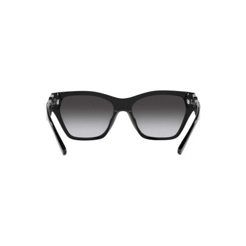 Ladies' Sunglasses Emporio Armani EA 4203U