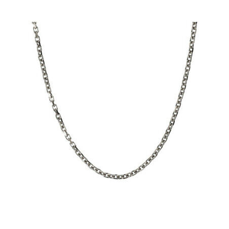 Collar Hombre Albert M. WSOX00520.S-50