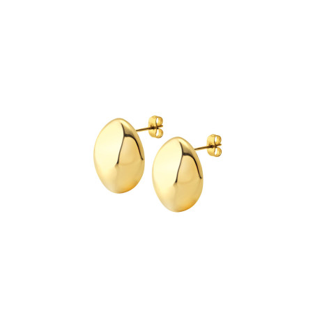 Oorbellen Dames Breil TJ3710 Sterling zilver 925 Gouden